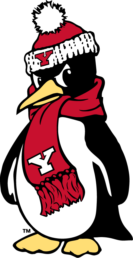 Youngstown State Penguins 2018-Pres Secondary Logo v2 diy iron on heat transfer